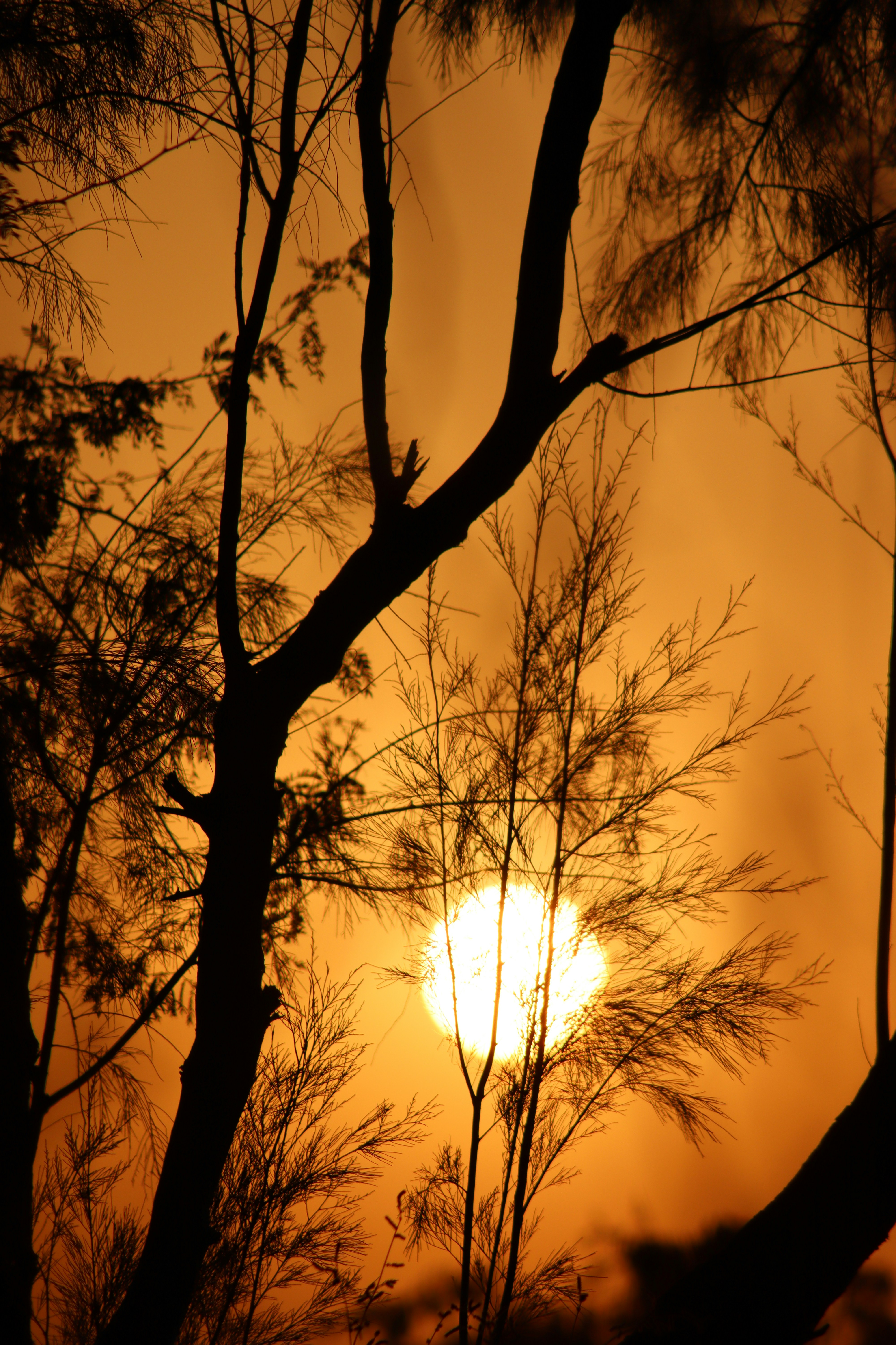 Photo by drphotographer152