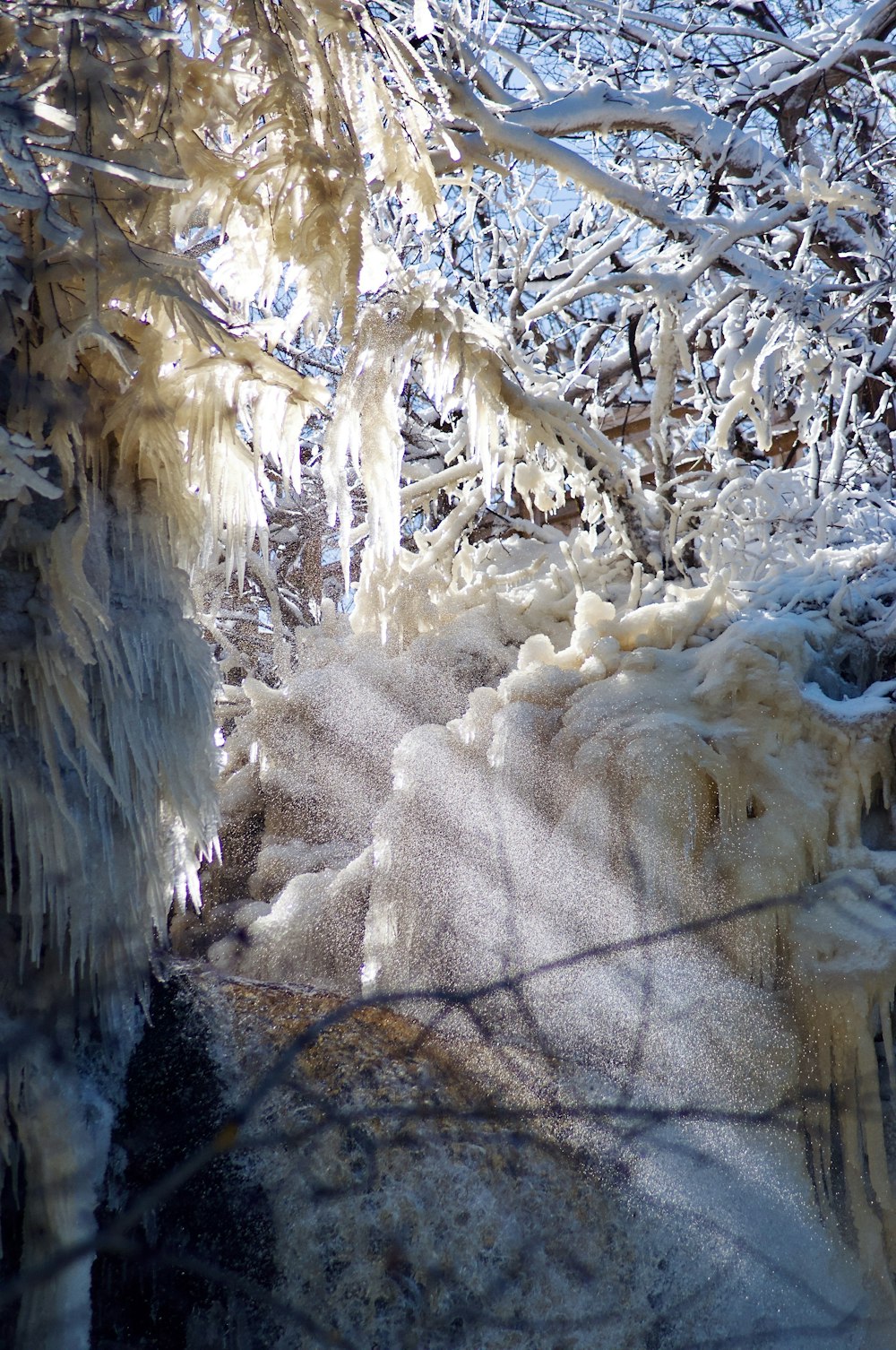 a path covered in ice and snow next to trees