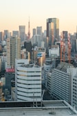 A panoramic shot of Tokyo skyline emphasizing exclusive investment properties.
