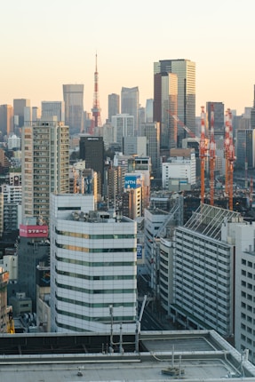 A cityscape featuring a dense collection of modern skyscrapers and office buildings in an urban setting. The Tokyo Tower is prominently visible among the high-rise buildings. The scene is bathed in soft, warm light as the sun sets, casting a golden hue over the city.
