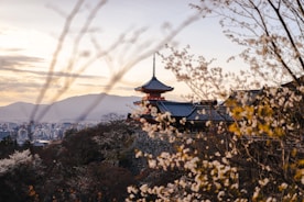 A scenic view of a famous Japanese temple surrounded by cherry blossoms