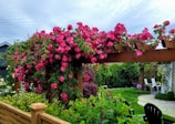 A beautifully renovated garden with vibrant flowers and a seating area.