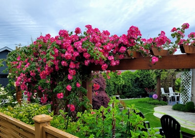 Beautiful pastel pink garden corner with wooden furniture and lush greenery