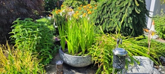 A lush garden scene featuring a variety of vibrant plants and flowers. A large ornamental pot in the foreground contains tall green leaves. Surrounding the pot, there are other plants, including a bush with orange flowers. A decorative lantern and a cylindrical ornament can be seen on the ground.