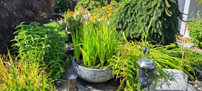 A lush garden scene featuring a variety of vibrant plants and flowers. A large ornamental pot in the foreground contains tall green leaves. Surrounding the pot, there are other plants, including a bush with orange flowers. A decorative lantern and a cylindrical ornament can be seen on the ground.