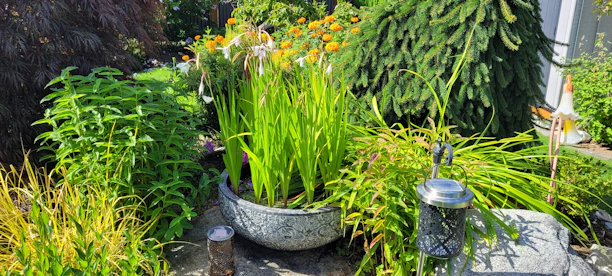 A serene garden scene showing a variety of potted plants ready for delivery.