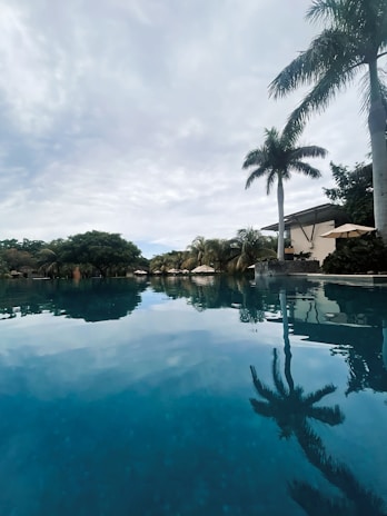 A peaceful scene of the large pool area reflecting the clear blue sky at the festival site.