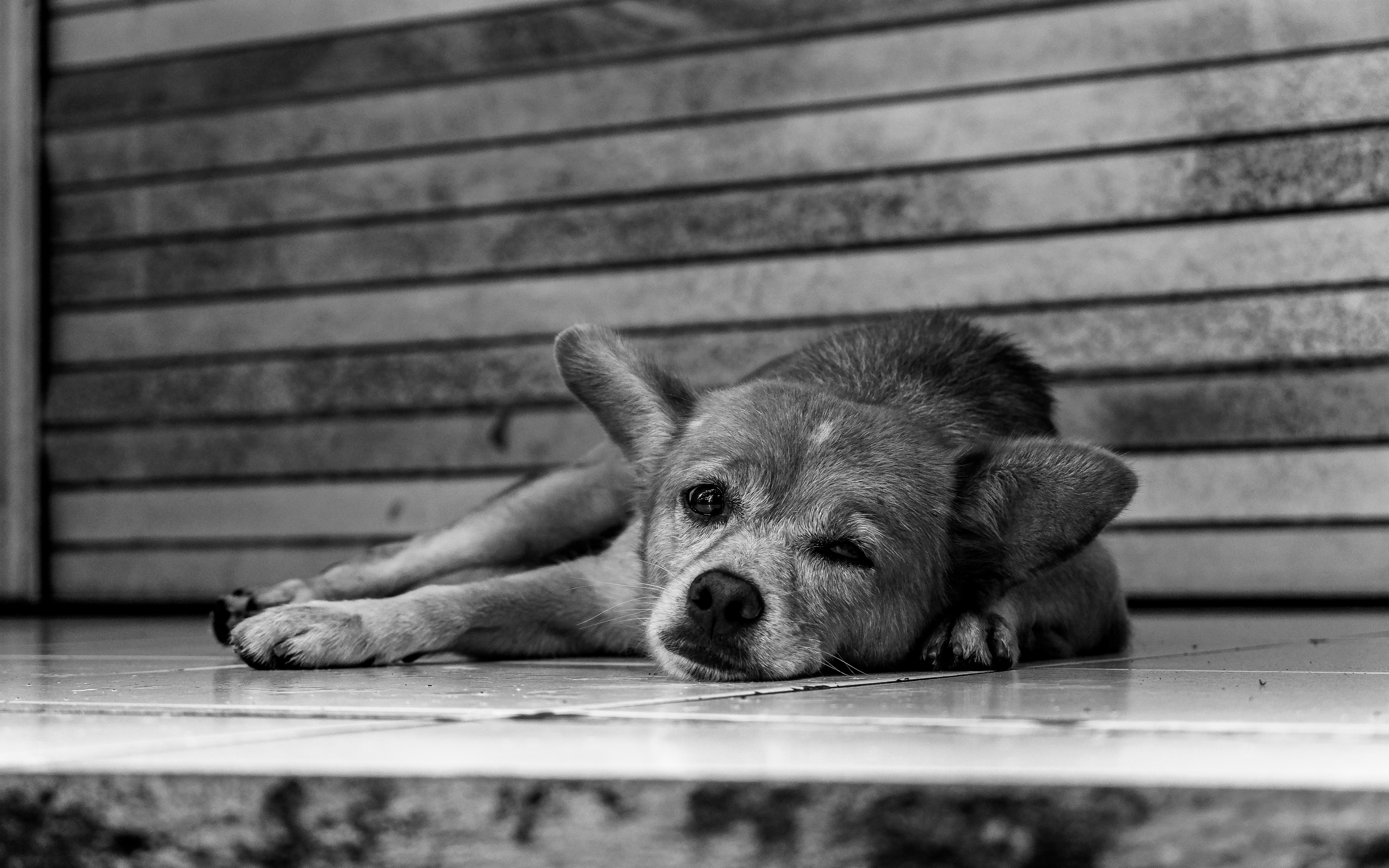 Photo by tristan_ellij4