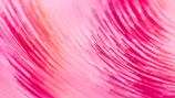 Close-up of vibrant paint strokes on canvas, reflecting Luzviva's Portuguese heritage and artistic passion.