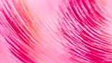 A close-up of swirling brushstrokes in a floral-inspired canvas.