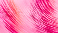 Close-up of vibrant paint strokes on canvas, reflecting Luzviva's Portuguese heritage and artistic passion.