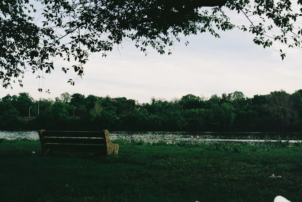 a bench sitting in the grass near a body of water