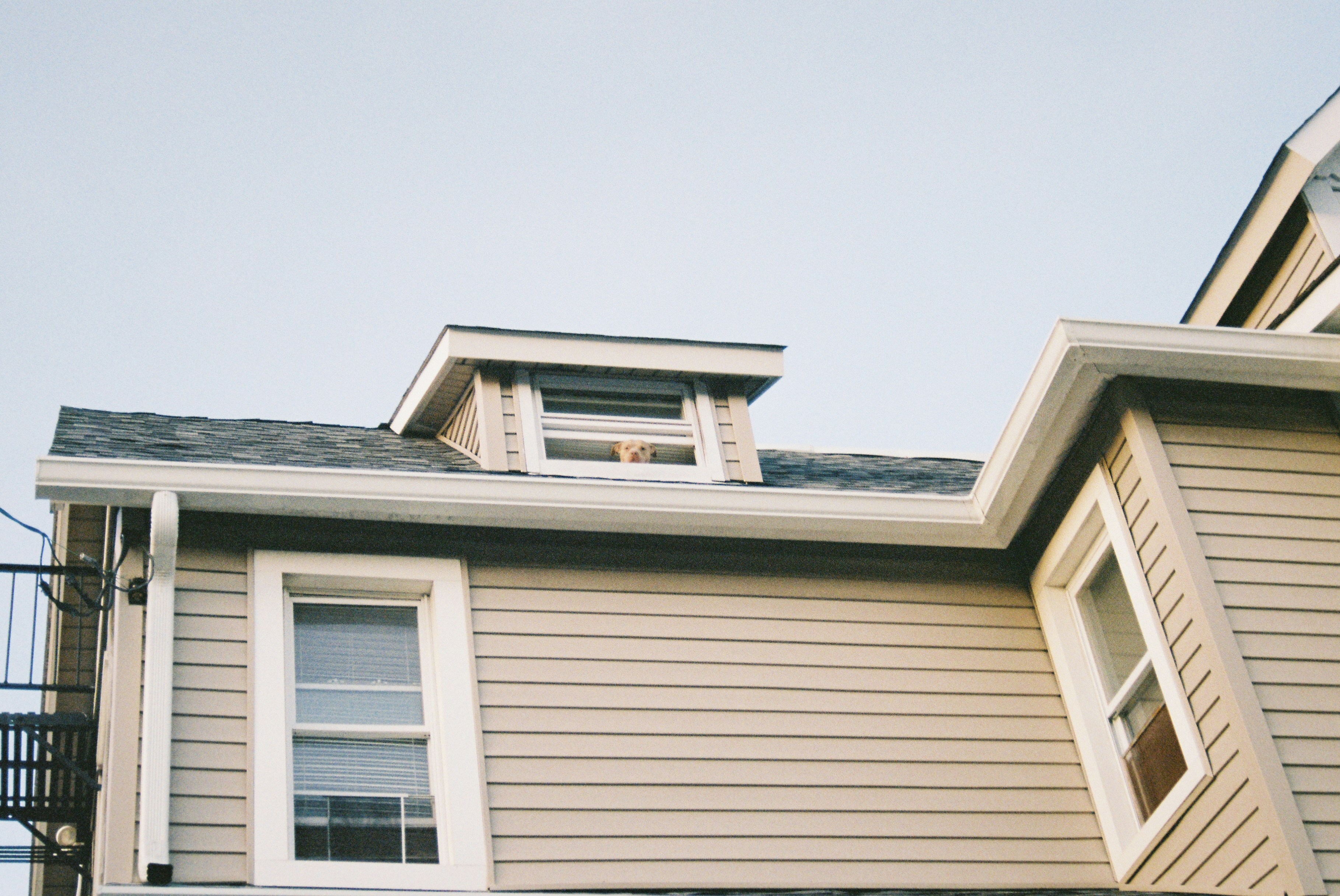 Photo by whattheheckman