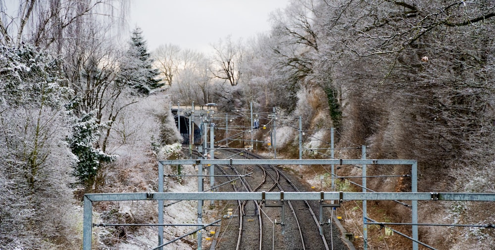 a train track running through a forest covered in snow