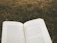 A thoughtful reader holding a copy of 'It Happened on the DMZ' with a serene park background.