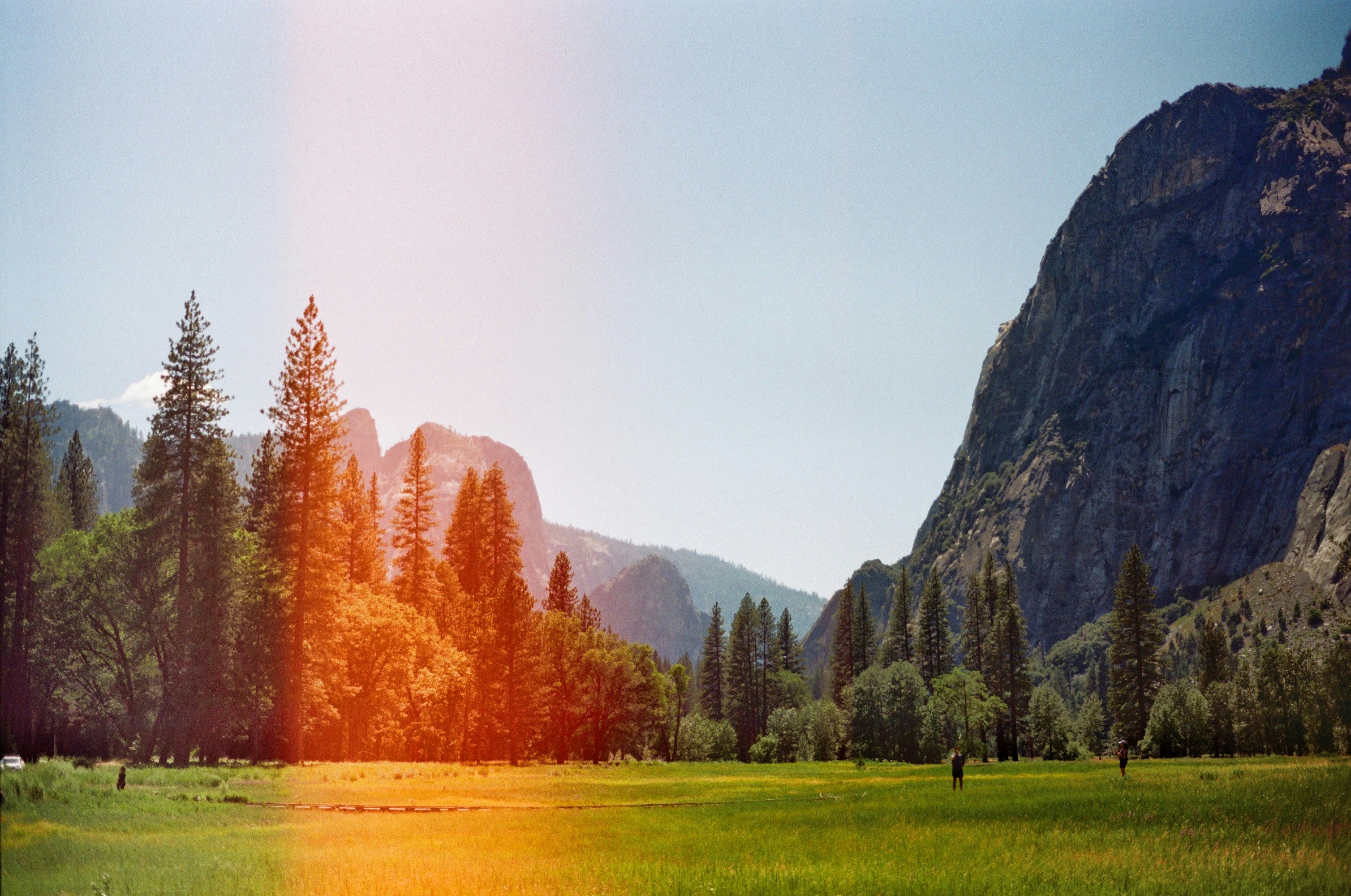A grassy field with trees and mountains in the background photo Free