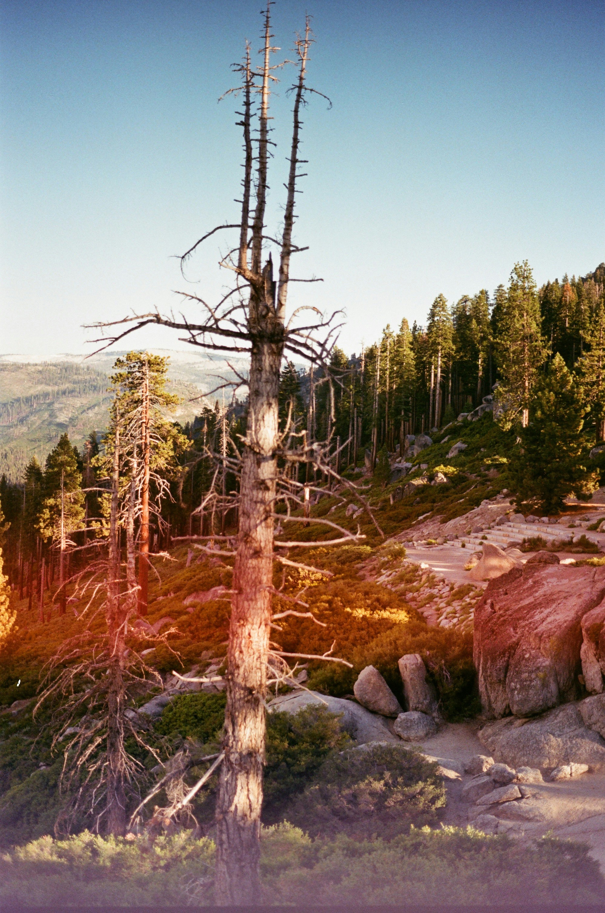 Photo by erniemal