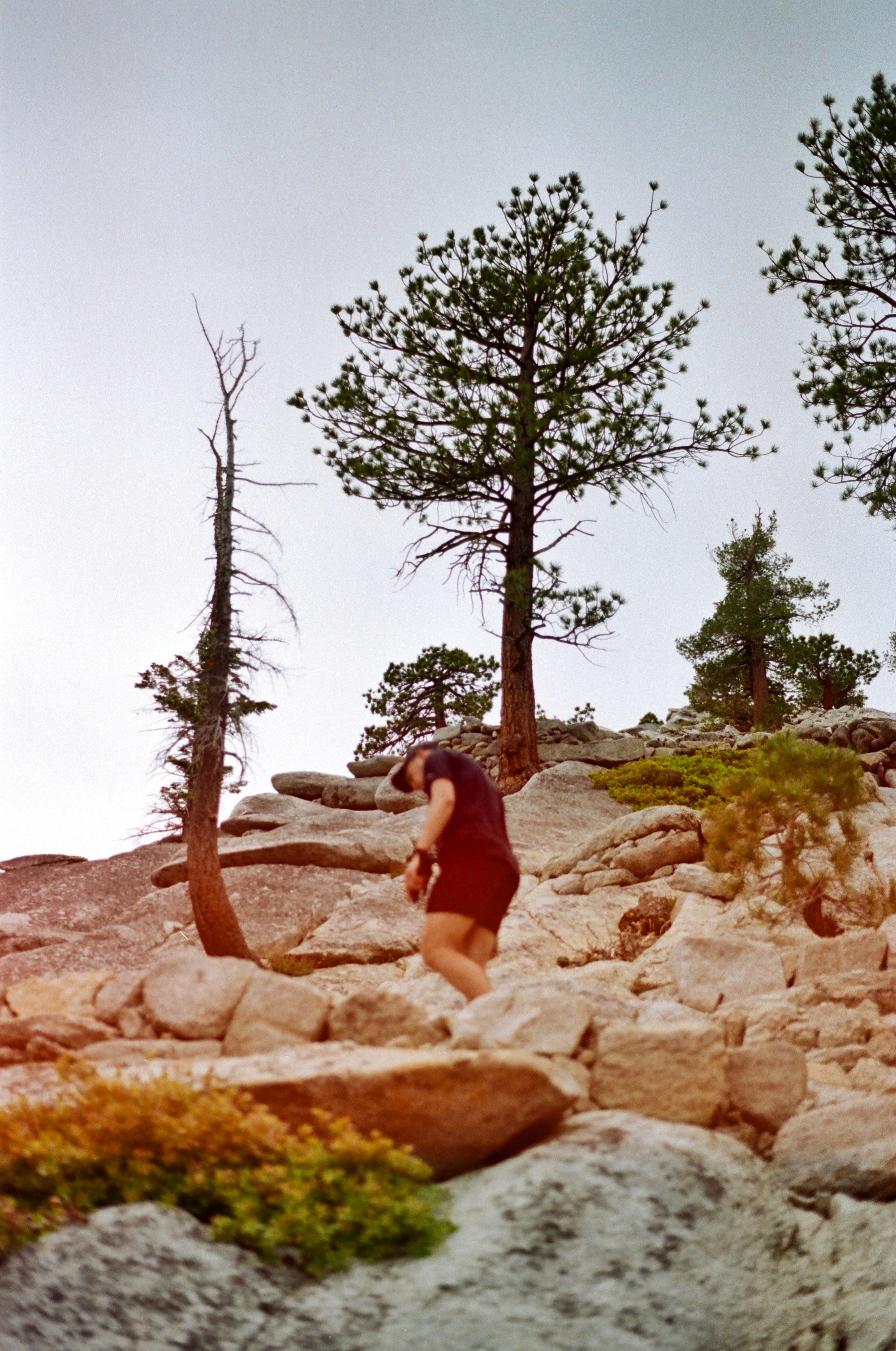 Photo by erniemal