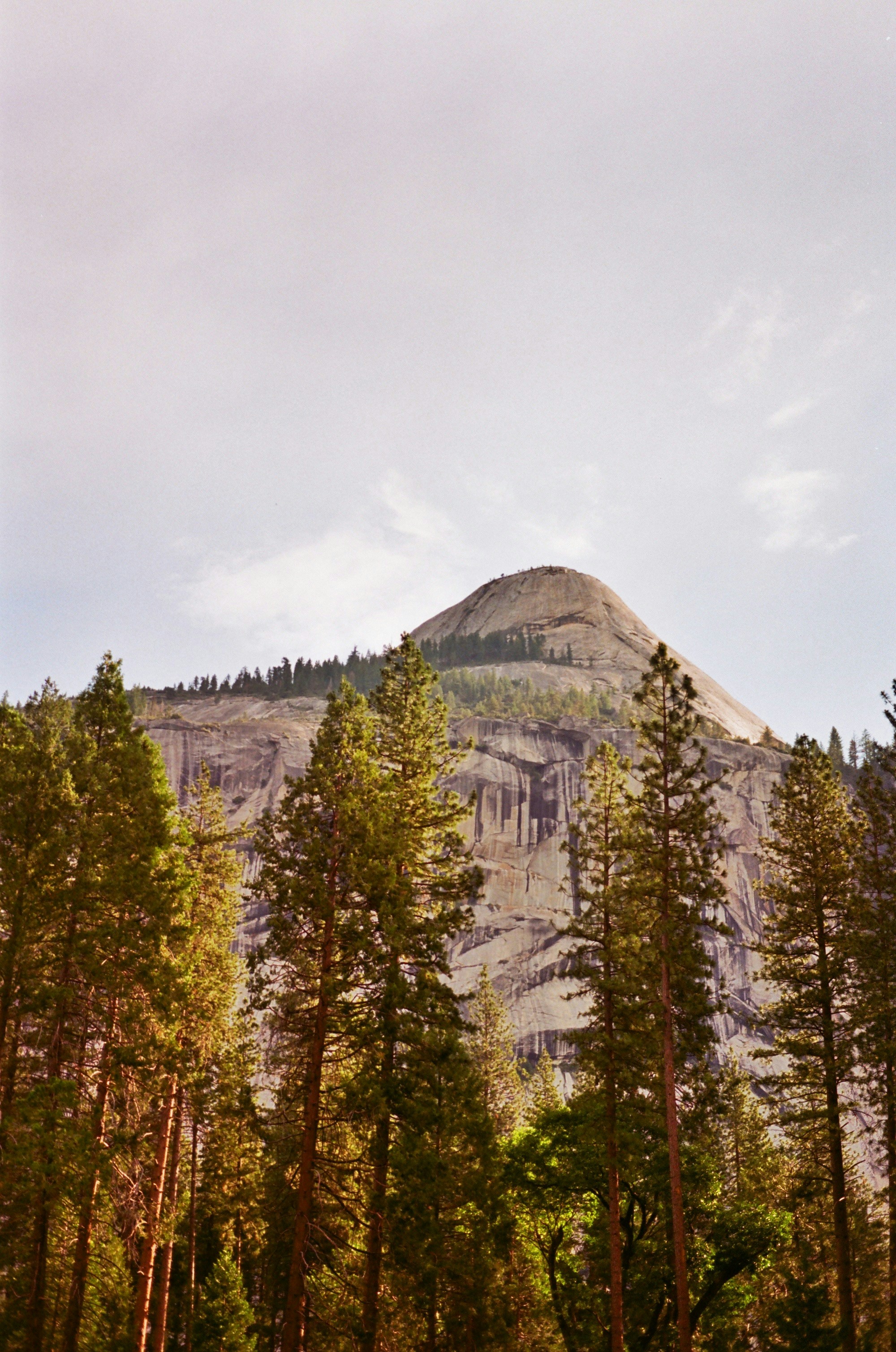 Photo by erniemal