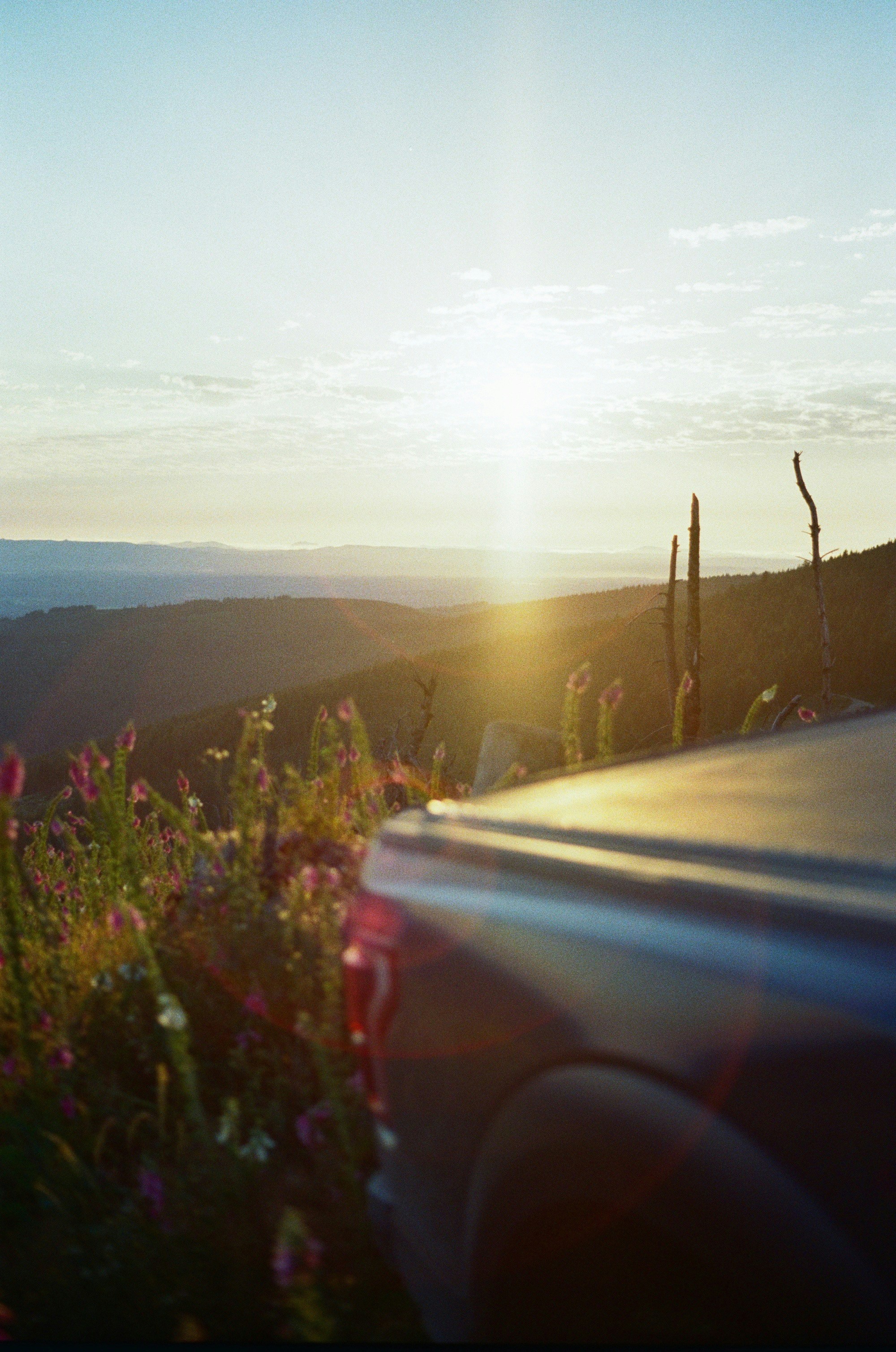 Photo by erniemal