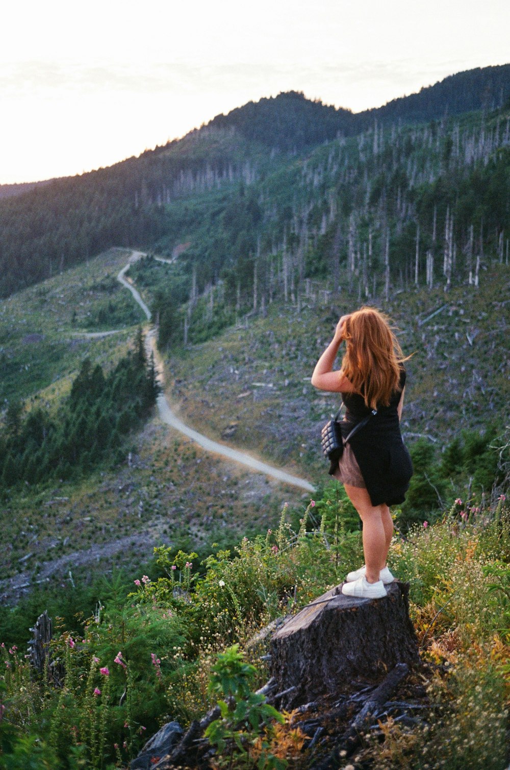 a woman standing on top of a lush green hillside