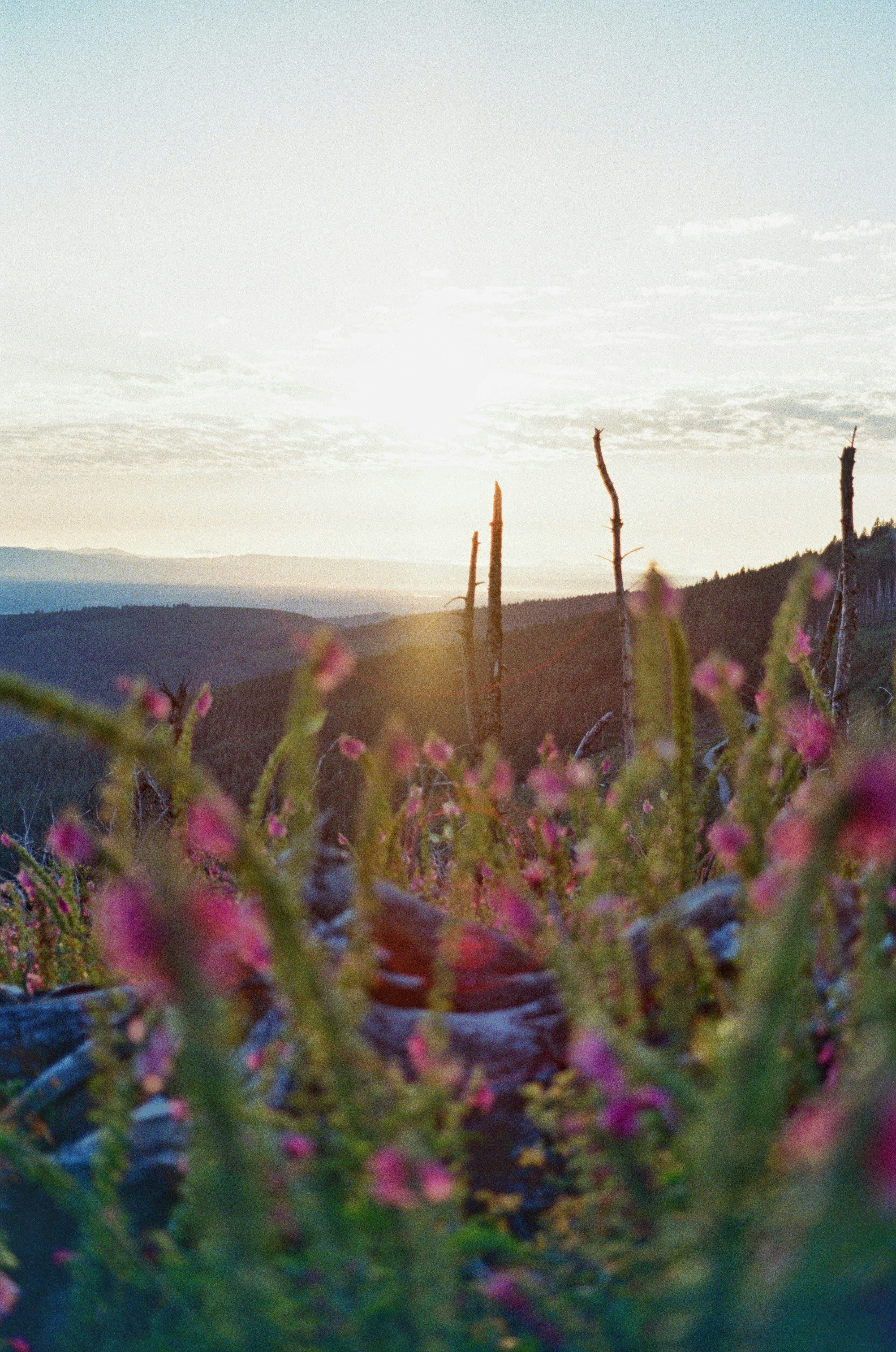 Photo by erniemal