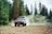 An off-road vehicle driving on a dirt path surrounded by dense, tall evergreen trees. Dust clouds are visible behind the vehicle, suggesting movement and speed. The outdoor setting appears rugged and natural.