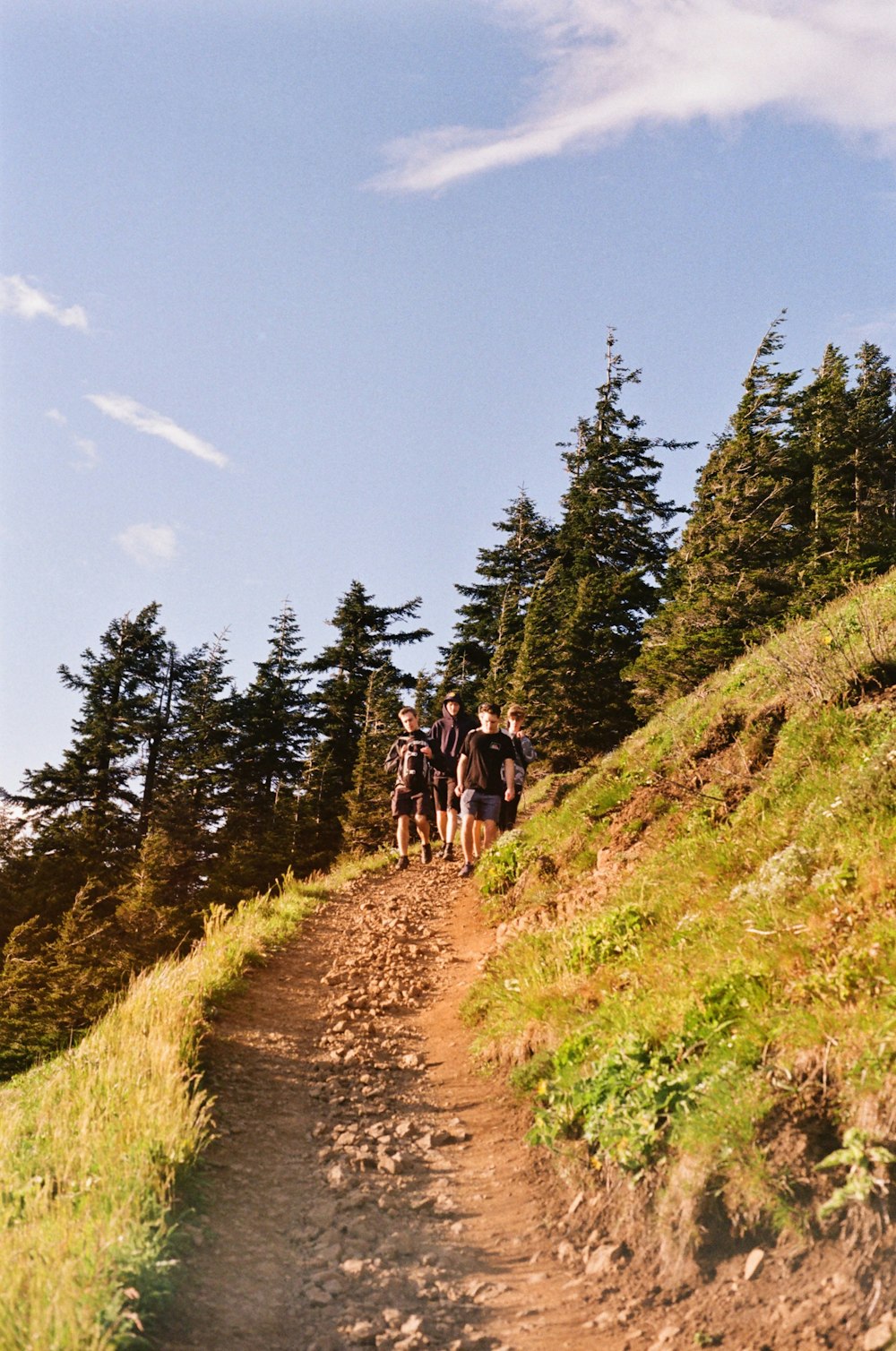 a group of people riding horses down a trail