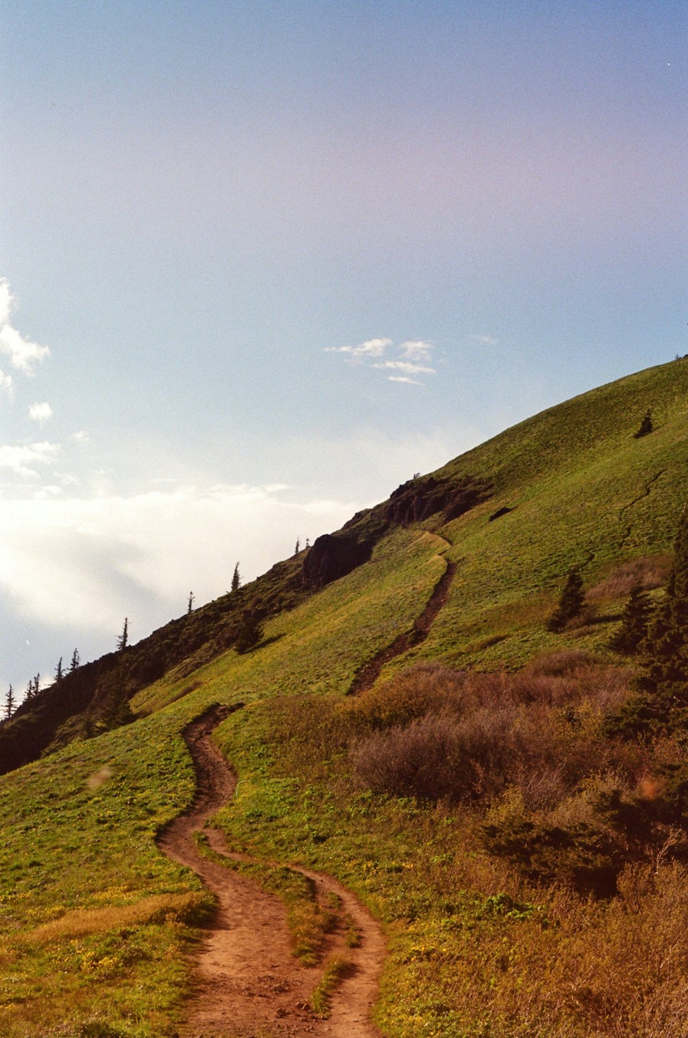 a dirt path going up a grassy hill