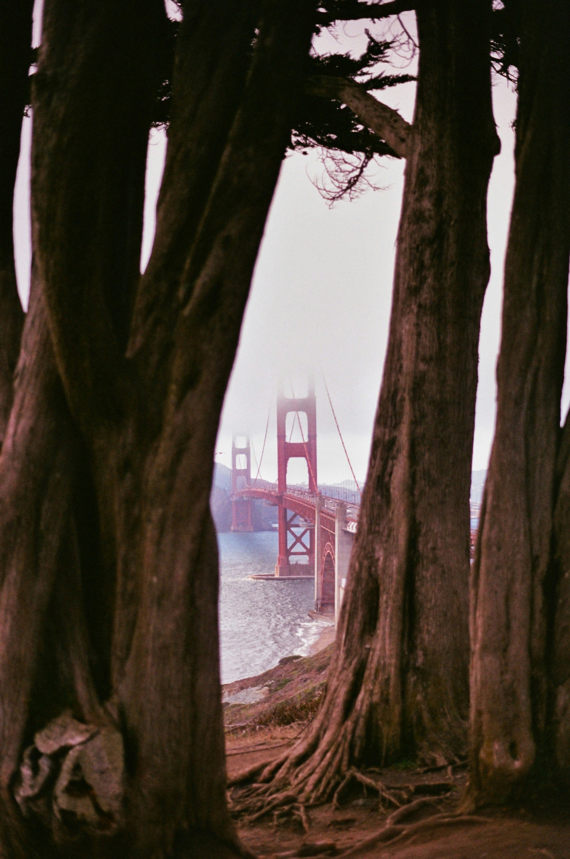 Photo by erniemal