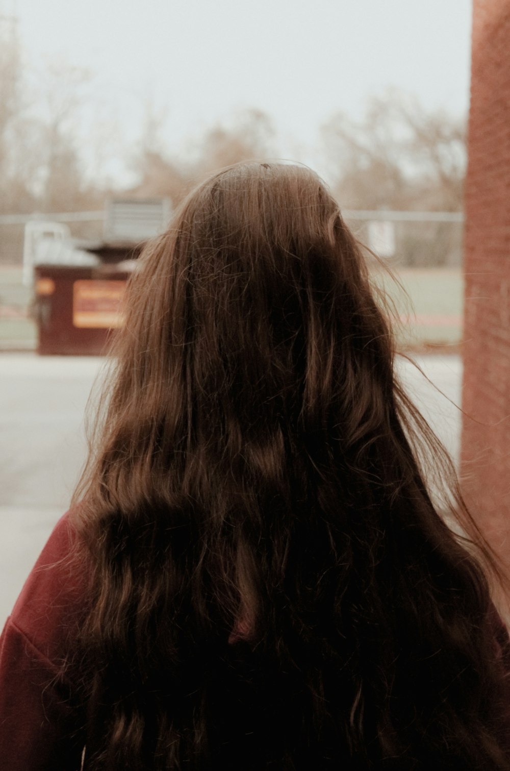 the back of a woman's head with long hair