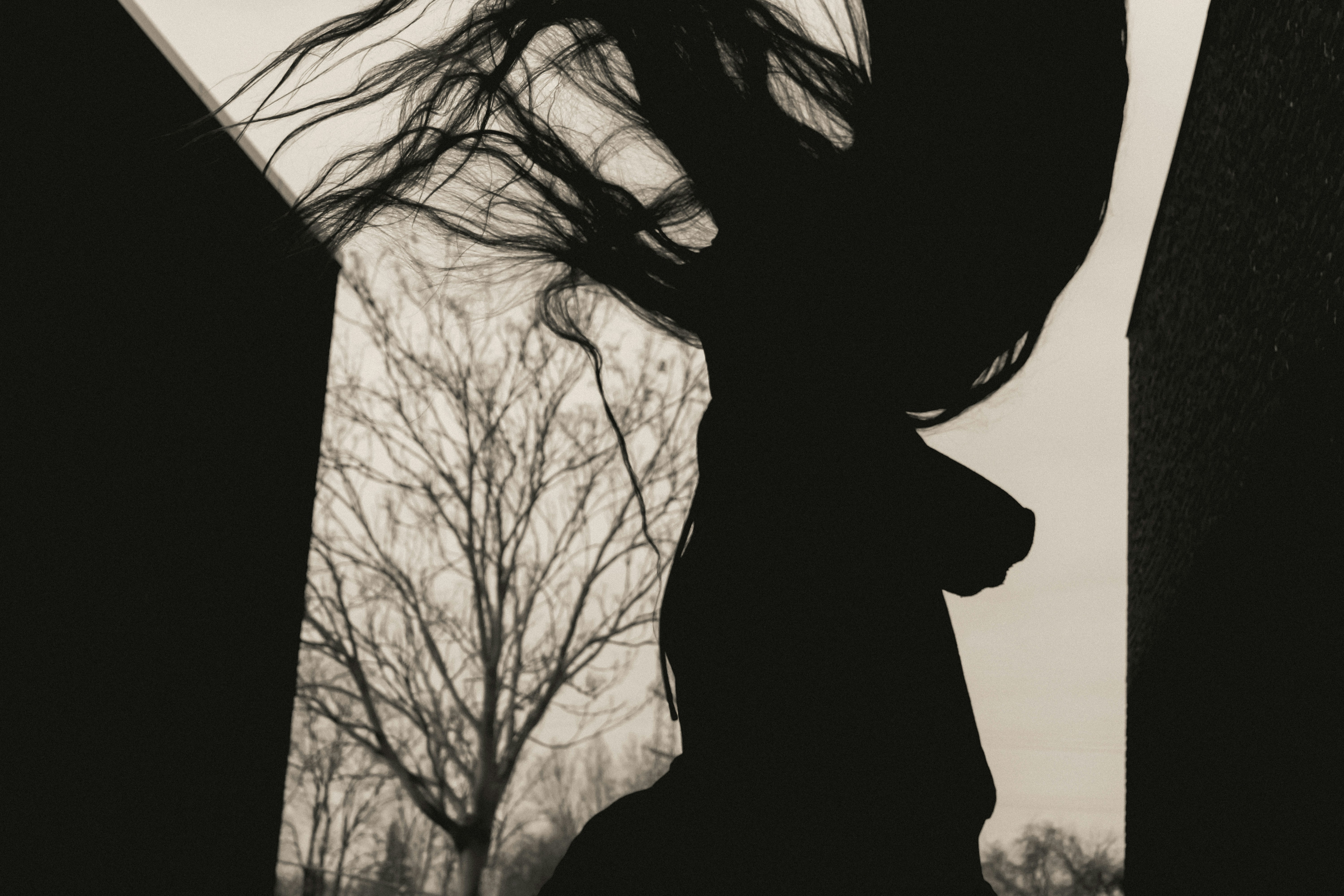 Photo by linusbelanger