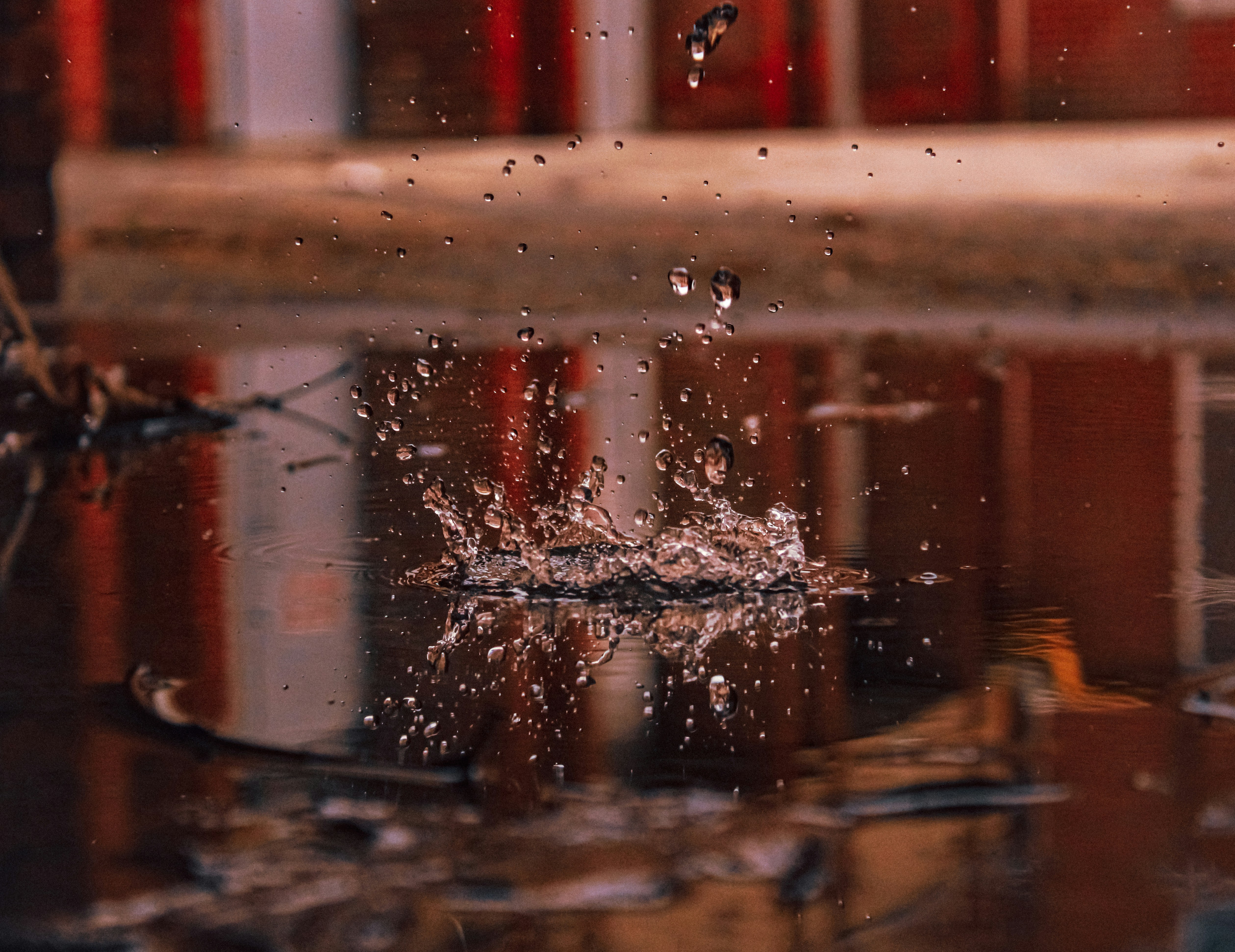 Photo by linusbelanger