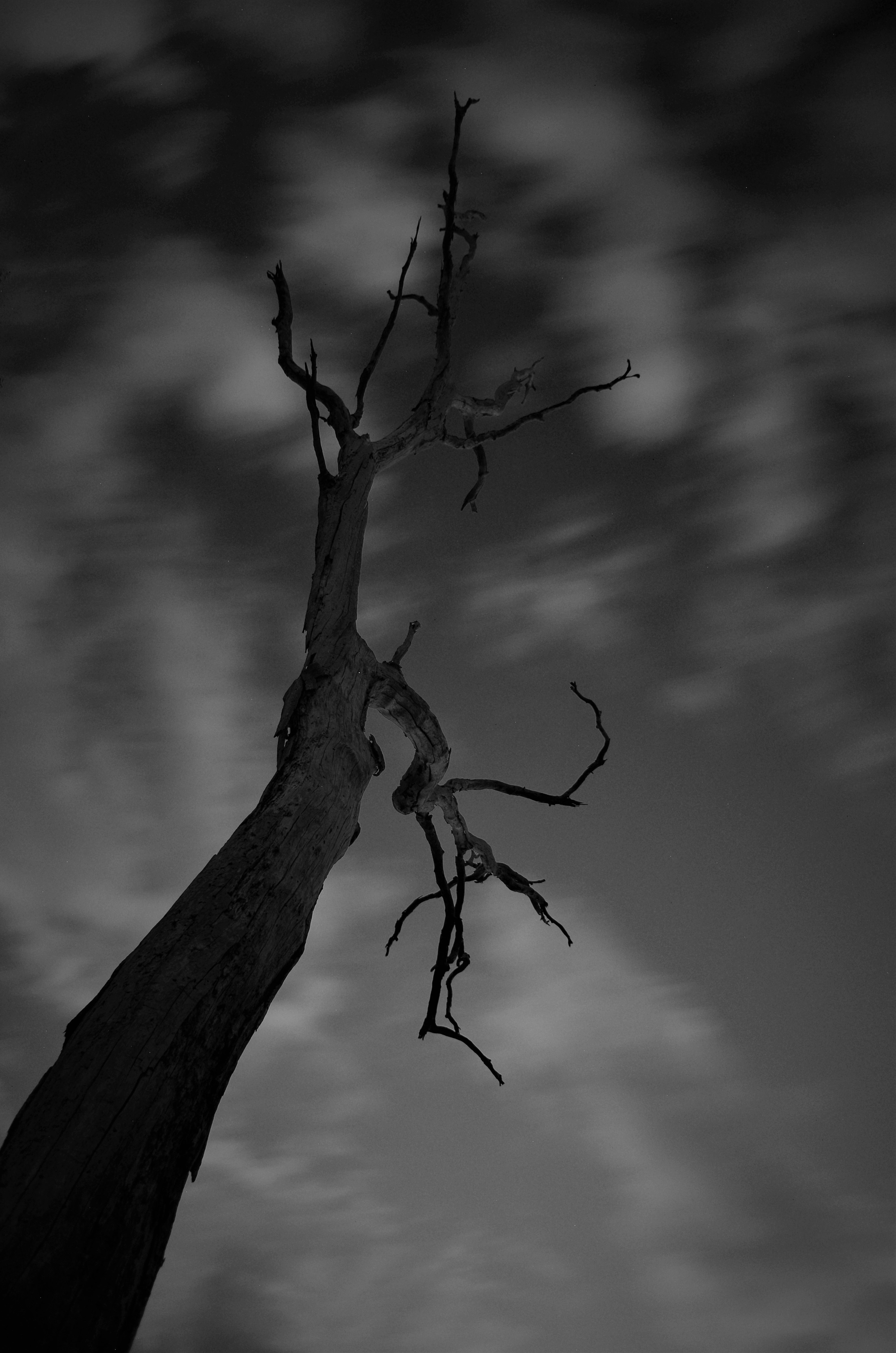 Photo by photoken123