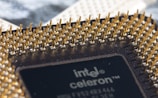 A close-up view of a computer processor displaying the intricate array of gold-colored pins on its surface. The text 'intel celeron' is visible on part of the black chip casing, adding to the technological aspect of the image. The background is slightly out of focus, emphasizing the detailed texture and metallic sheen of the processor pins.