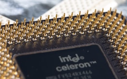 A close-up view of a computer processor displaying the intricate array of gold-colored pins on its surface. The text 'intel celeron' is visible on part of the black chip casing, adding to the technological aspect of the image. The background is slightly out of focus, emphasizing the detailed texture and metallic sheen of the processor pins.
