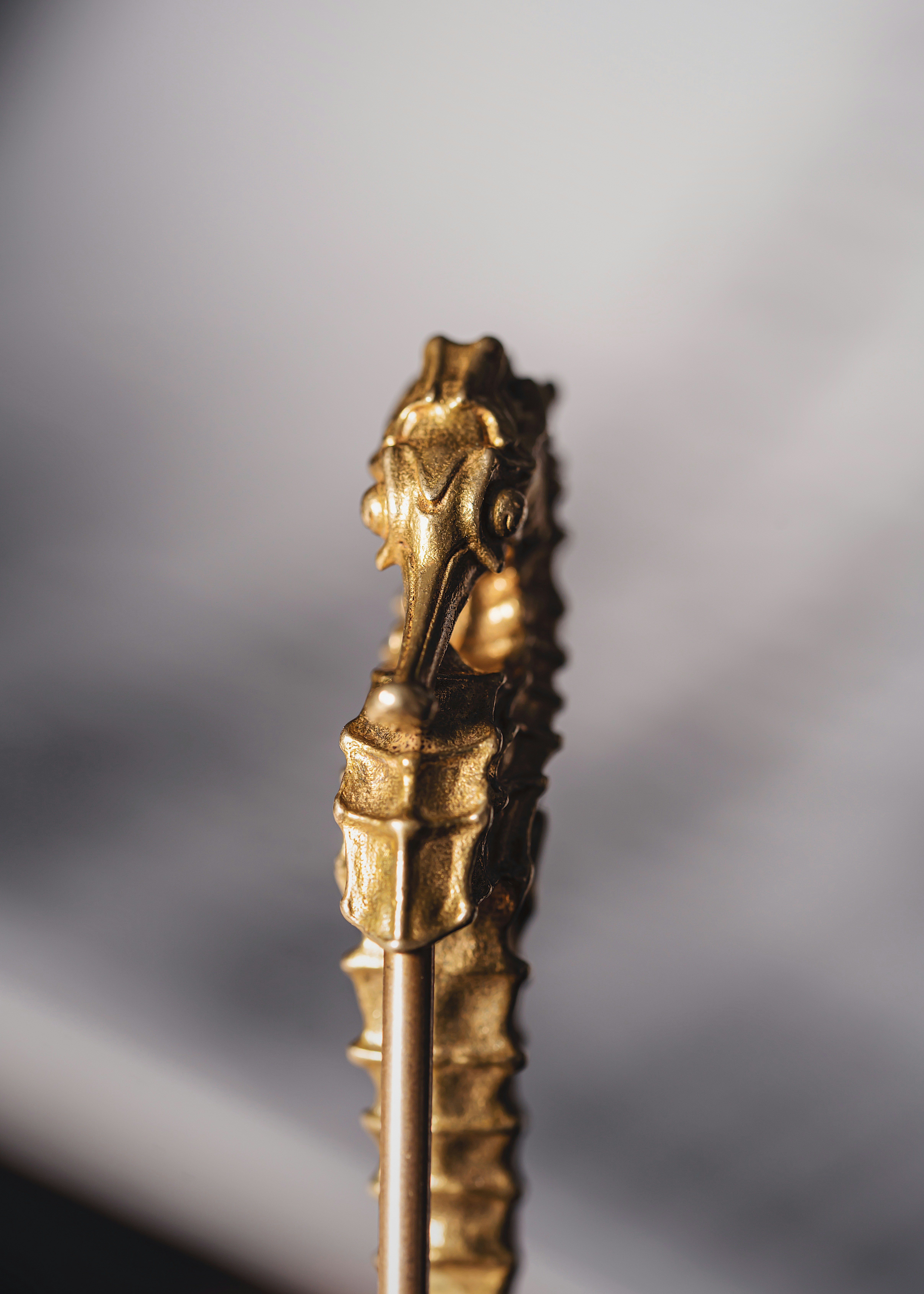 Photo by coppertistwu