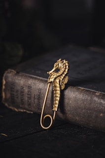 A gold seahorse-shaped brooch rests atop an old, well-worn gray book with visible text, placed on a dark surface.
