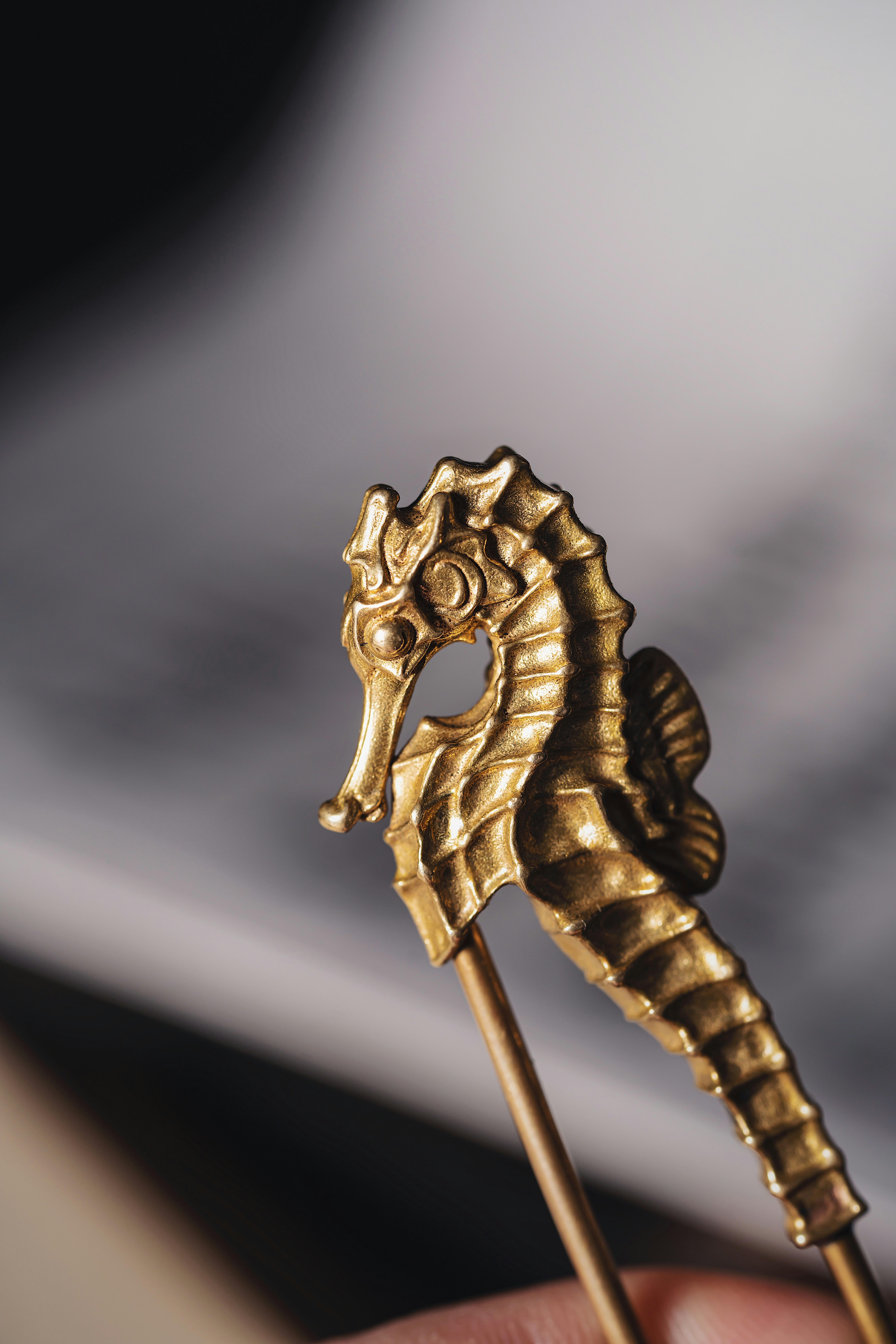 Photo by coppertistwu