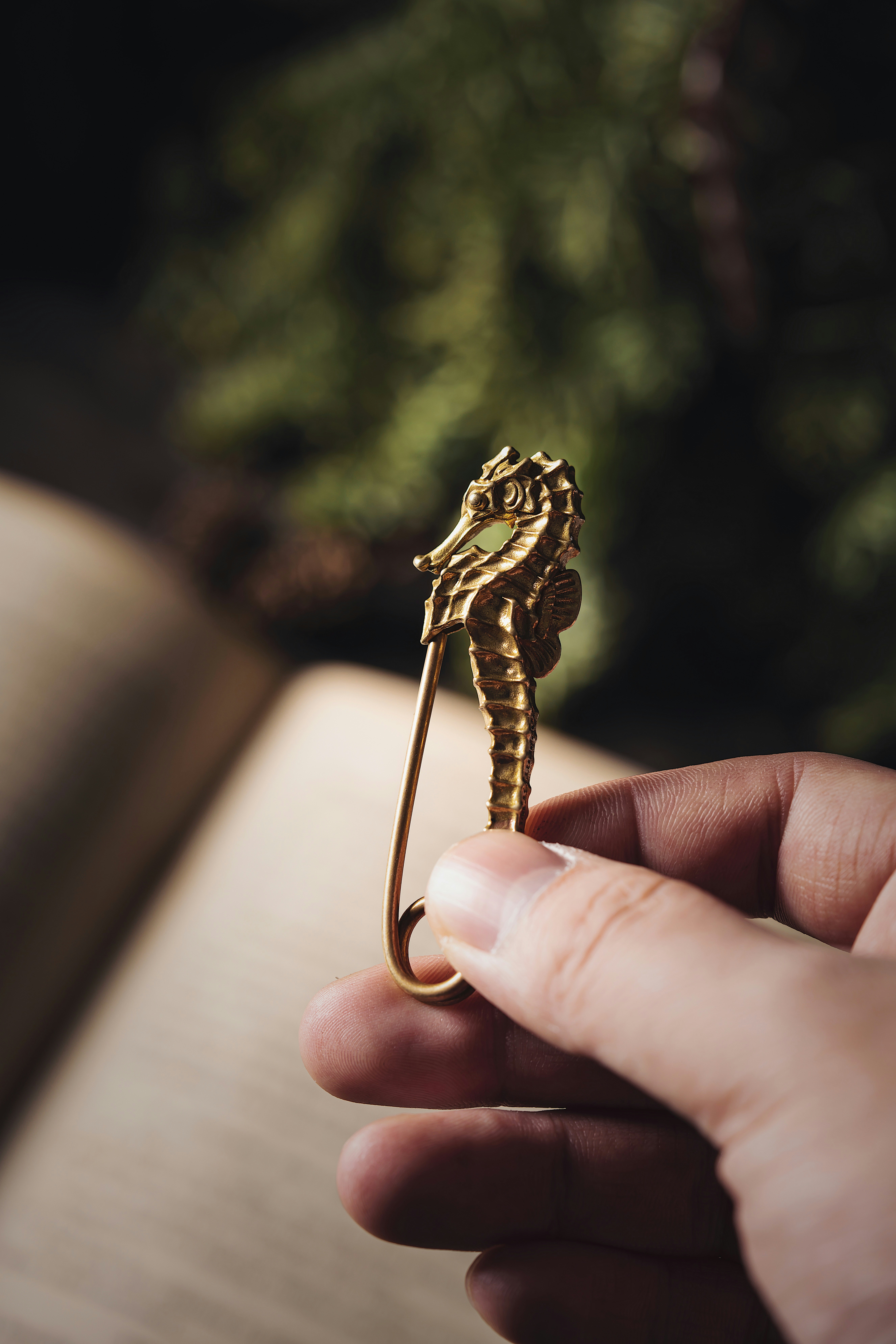 Photo by coppertistwu