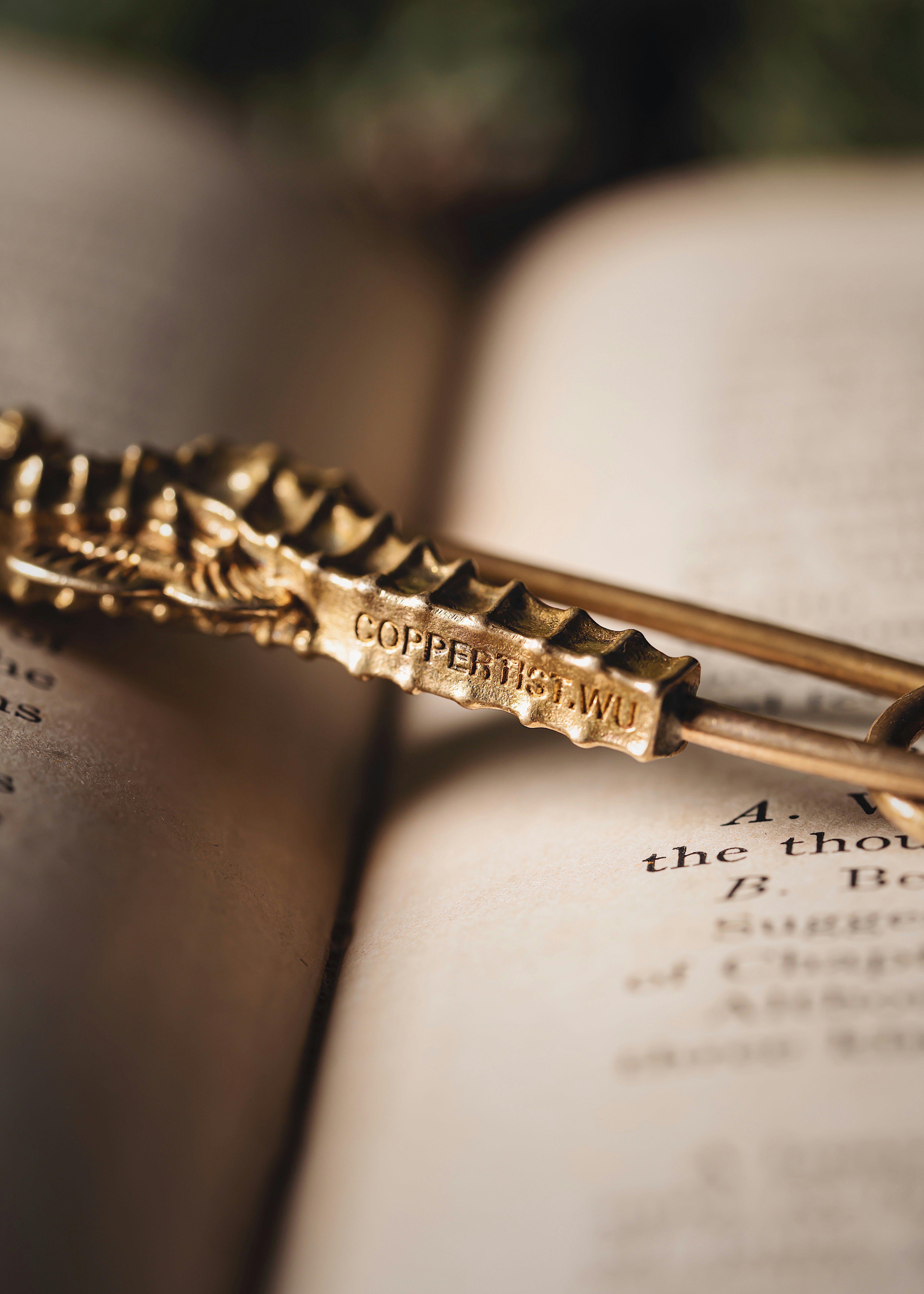 Photo by coppertistwu