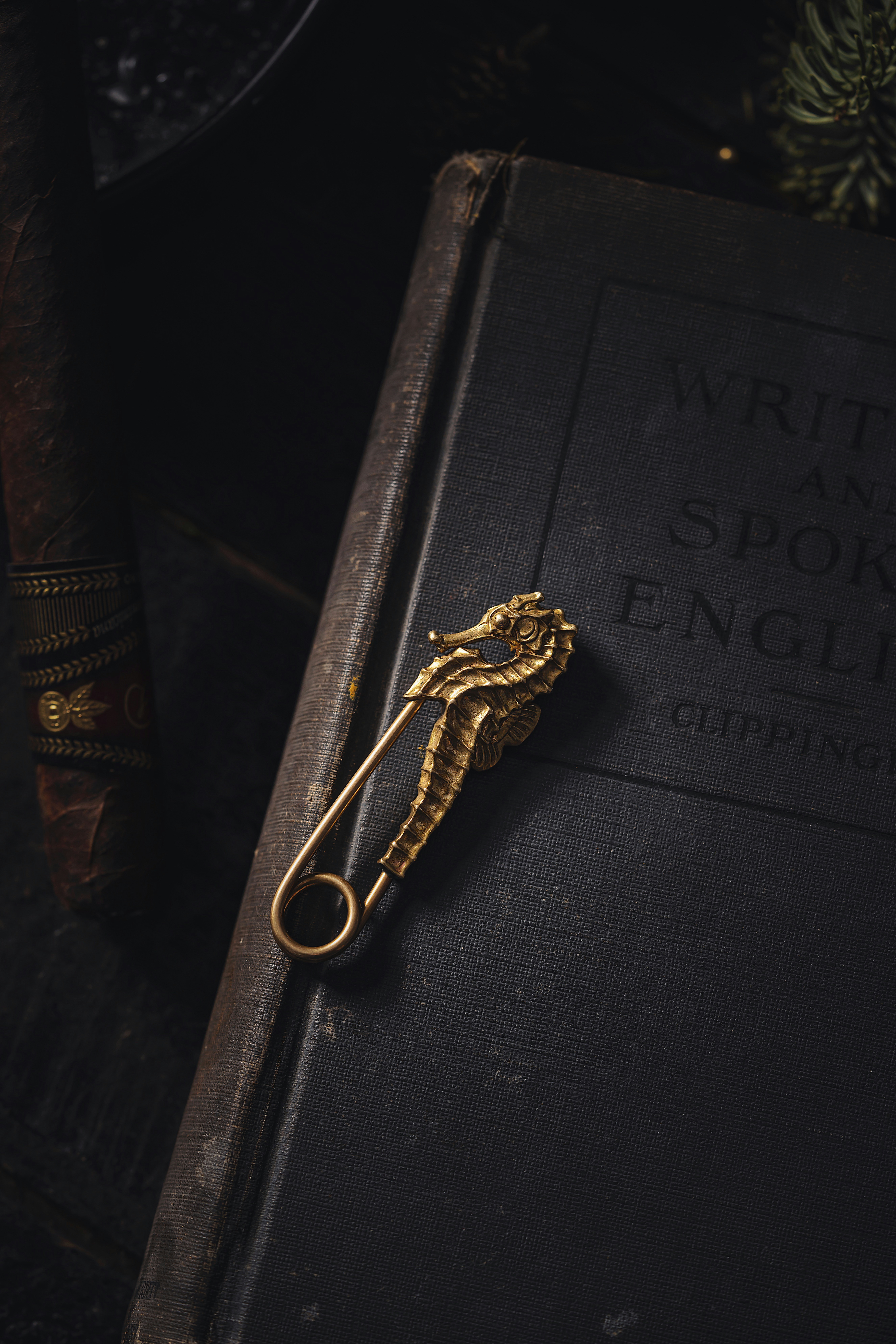 Photo by coppertistwu