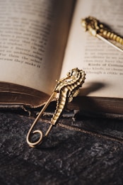 An open book lies on a textured surface with a decorative gold safety pin shaped like a seahorse resting on its pages. The background features a dark, rustic texture, enhancing the contrast with the book and the gold pin.