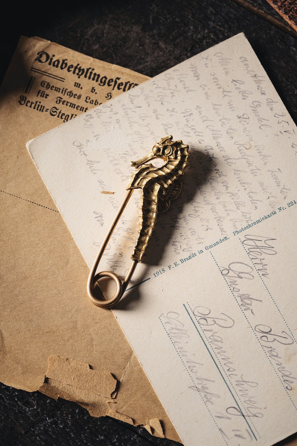 a close up of a piece of paper with a sea horse on it