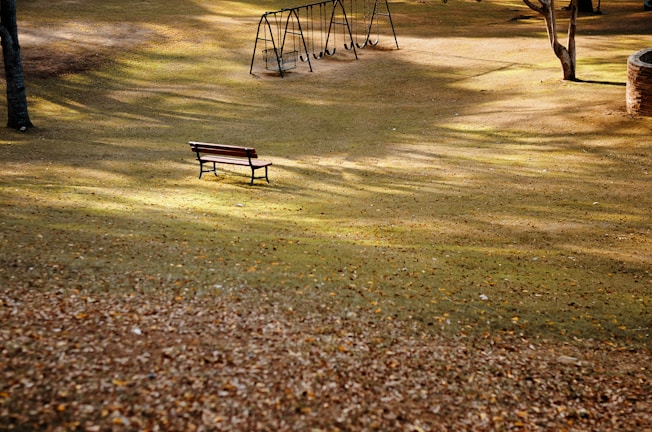 A quiet, empty park bench under a cloudy sky.