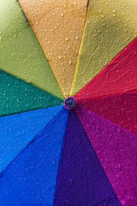 A vibrant photo of a Solumbre foldable umbrella open on a sunny day with raindrops falling around it.