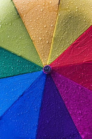 A close-up of a vibrant umbrella showcasing its unique design.