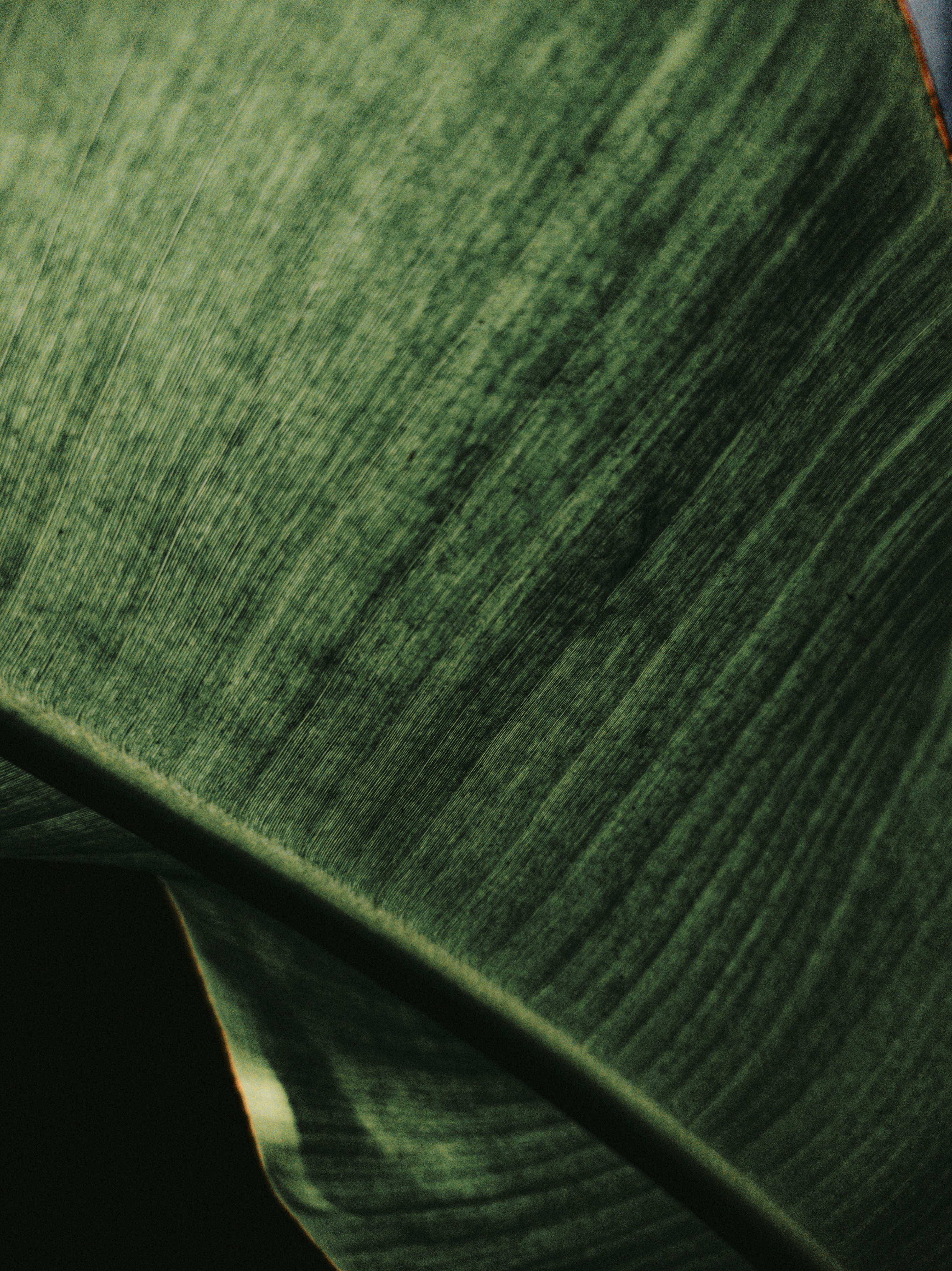 Photo by euigorbispo