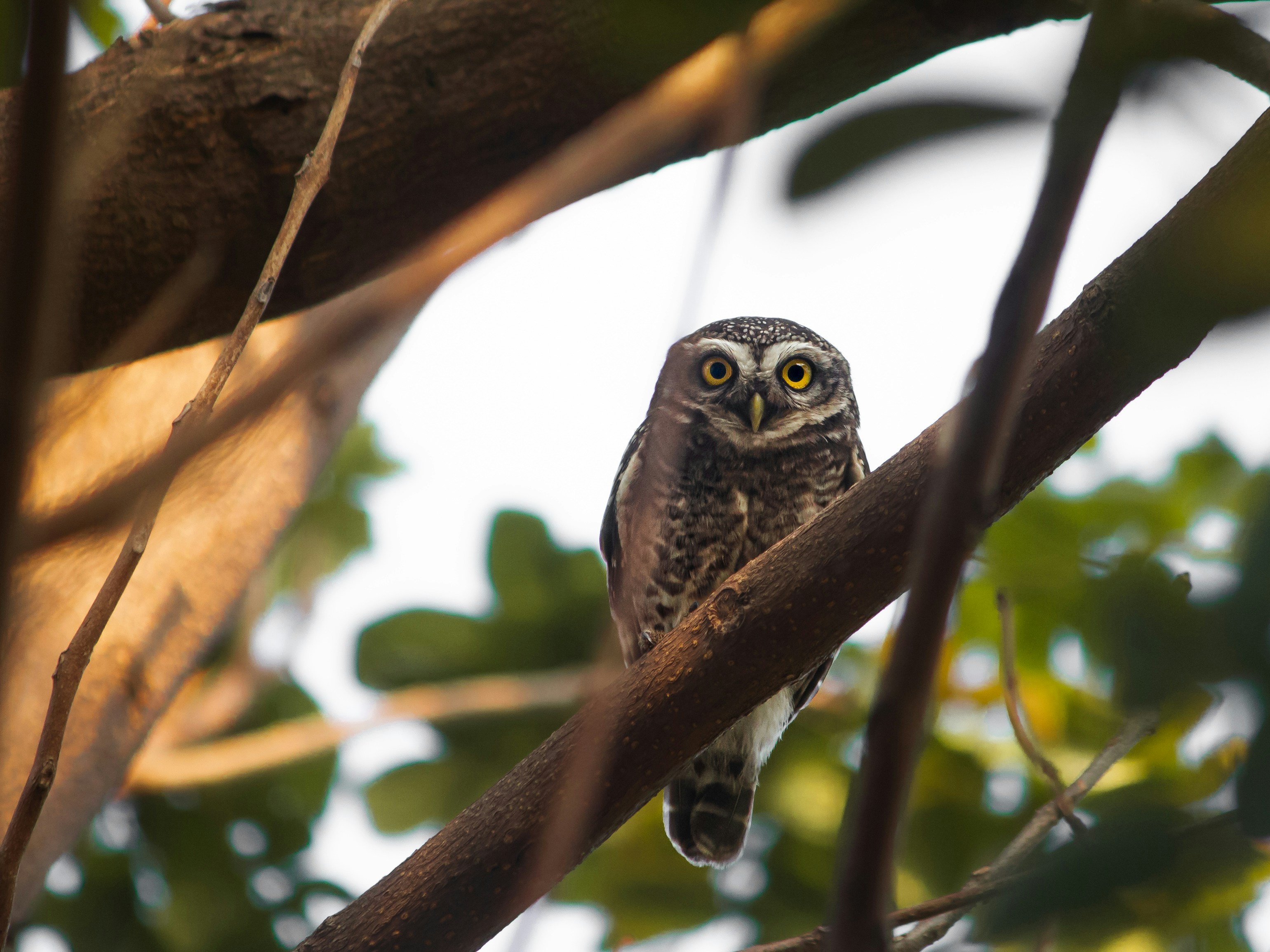 Photo by harshit_suryawanshi