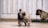 A small brown puppy is walking on a tiled floor with curiosity. Another similar puppy is sitting in the background next to a green mat. The setting seems to be indoors with light-colored wooden walls.